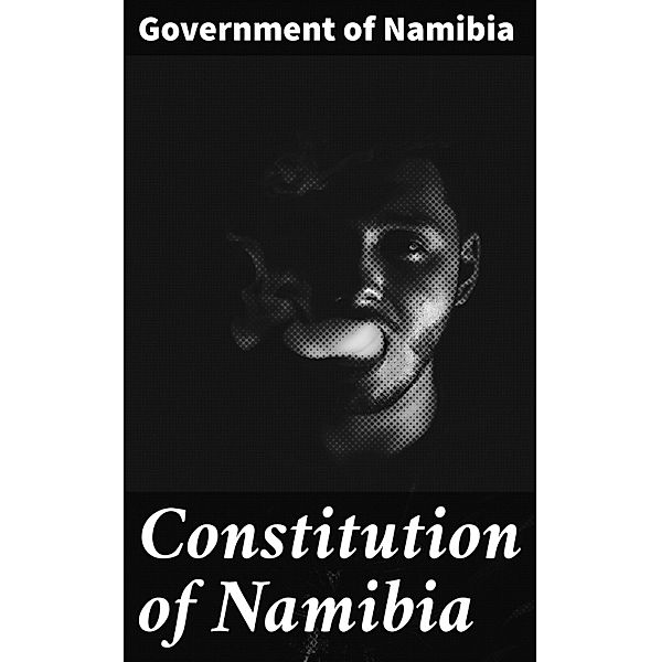 Constitution of Namibia, Government of Namibia