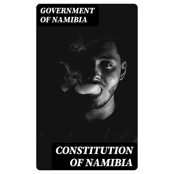 Constitution of Namibia, Government of Namibia