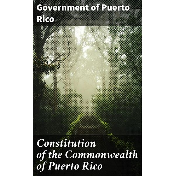 Constitution of the Commonwealth of Puerto Rico, Government of Puerto Rico