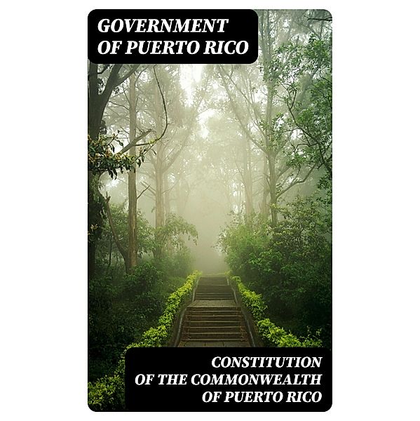 Constitution of the Commonwealth of Puerto Rico, Government of Puerto Rico