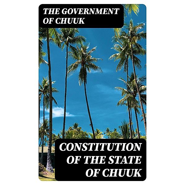 Constitution of the State of Chuuk, The Government of Chuuk