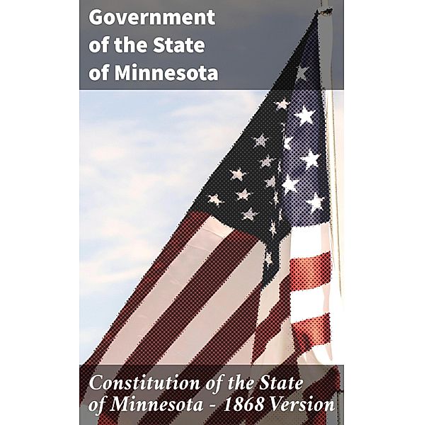 Constitution of the State of Minnesota - 1868 Version, Government of the State of Minnesota