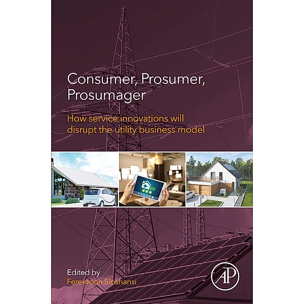 Consumer, Prosumer, Prosumager, Fereidoon P. Sioshansi