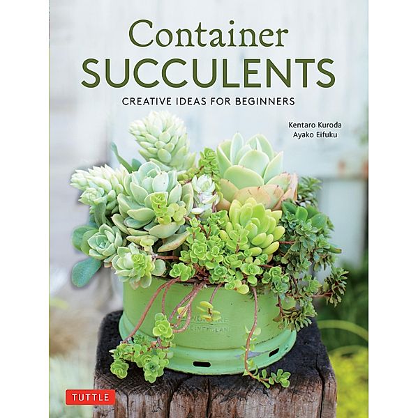 Container Succulents, Kentaro Kuroda, Ayako Eifuku