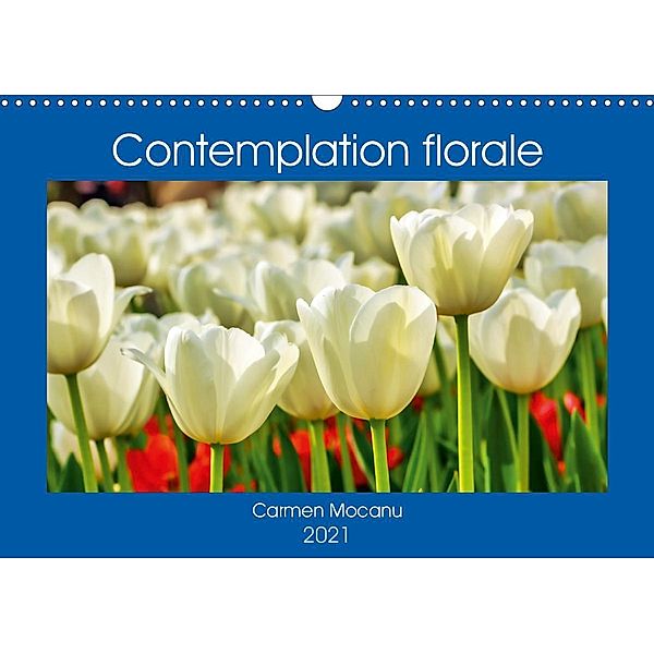 Contemplation florale (Calendrier mural 2021 DIN A3 horizontal), Carmen Mocanu