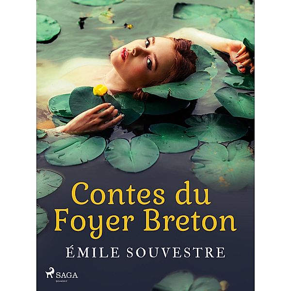 Contes du Foyer Breton, Émile Souvestre