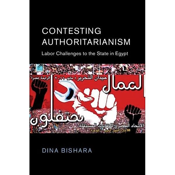 Contesting Authoritarianism, Dina Bishara