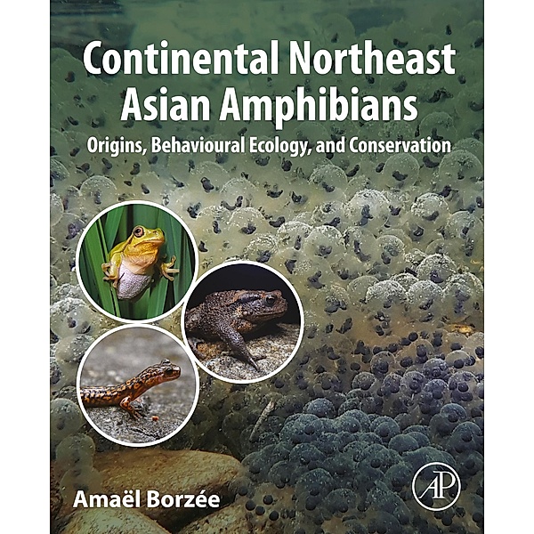 Continental Northeast Asian Amphibians, Amaël Borzée
