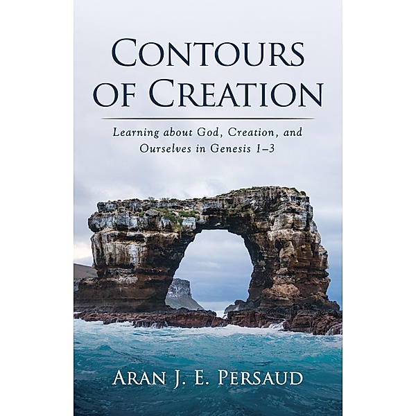 Contours of Creation, Aran J. E. Persaud