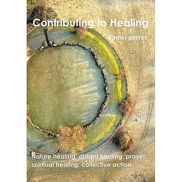 Contributing to Healing, Daniel Perret