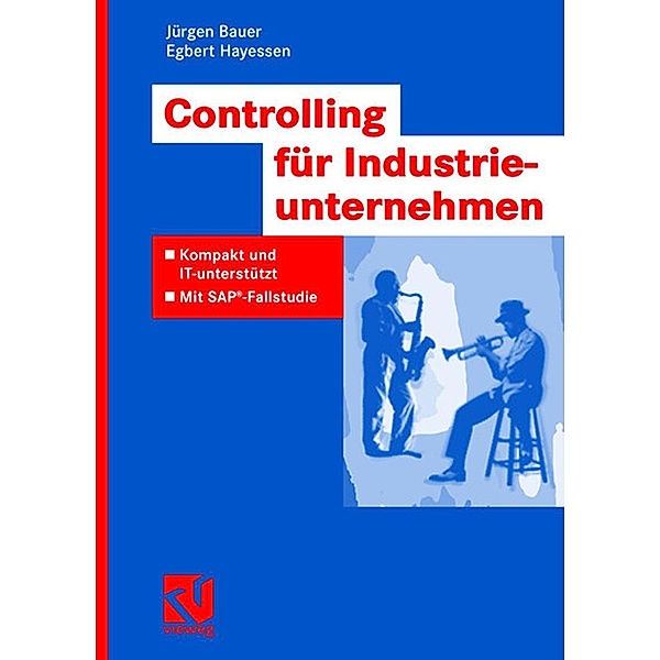 Controlling für Industrieunternehmen / IT-Professional, Jürgen Bauer, Egbert Hayessen