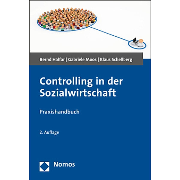 Controlling in der Sozialwirtschaft, Bernd Halfar, Gabriele Moos, Klaus Schellberg