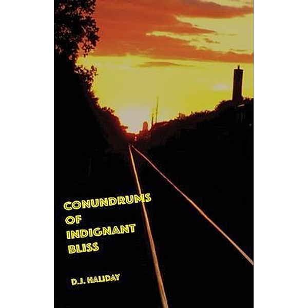 Conundrums of Indignant Bliss, D. J. Haliday