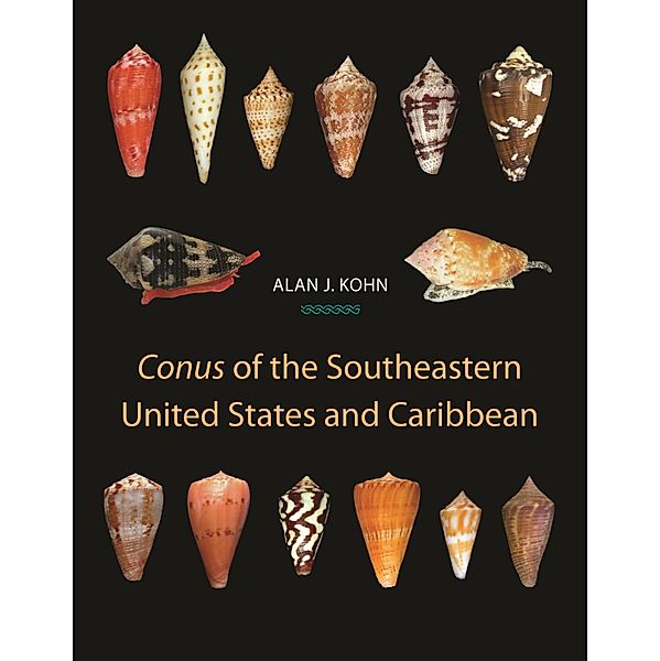 Conus of the Southeastern United States and Caribbean, Alan J. Kohn