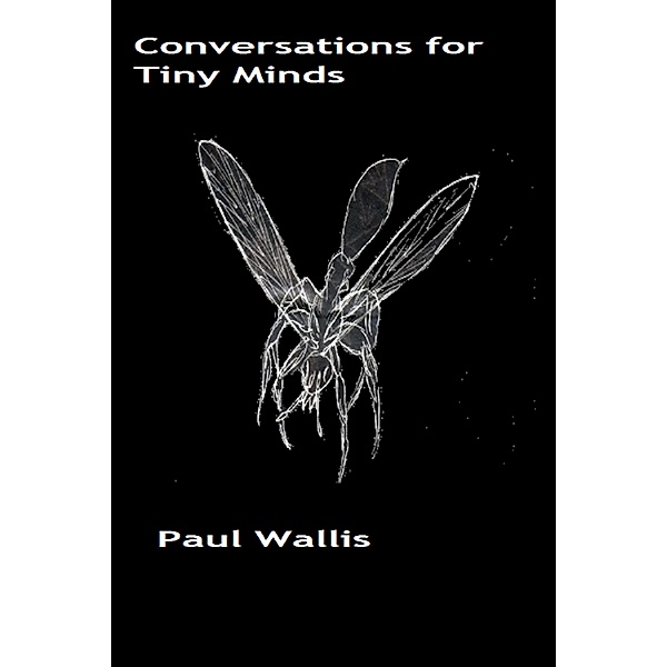 Conversations for Tiny Minds, Paul Wallis