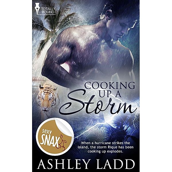 Cooking Up a Storm / Totally Bound Publishing, Ashley Ladd
