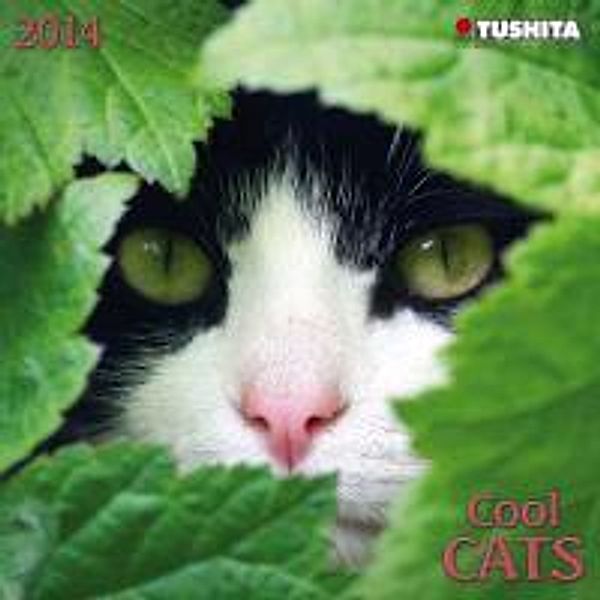 Cool Cats 2014 Mini Calendar