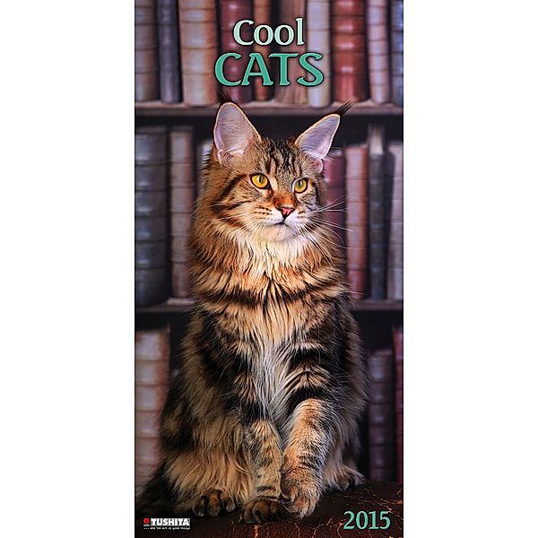 Cool Cats 2015