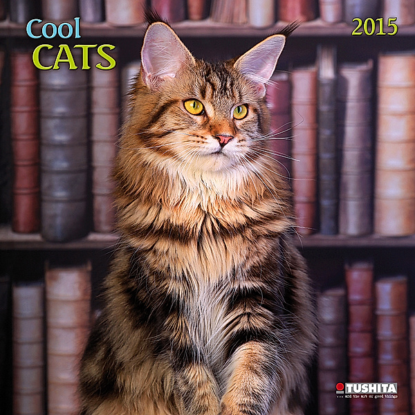 Cool Cats 2015