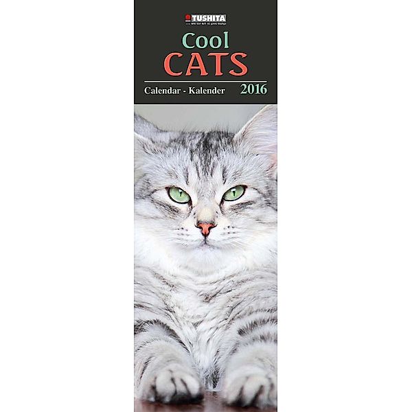 Cool Cats 2016