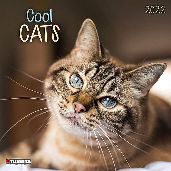 Cool Cats  2022