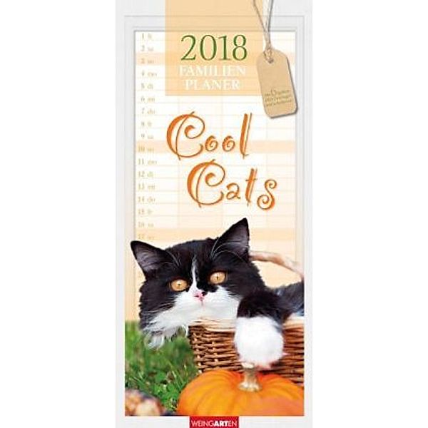 Cool Cats Familienplaner 2018