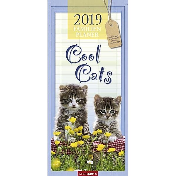 Cool Cats Familienplaner 2019