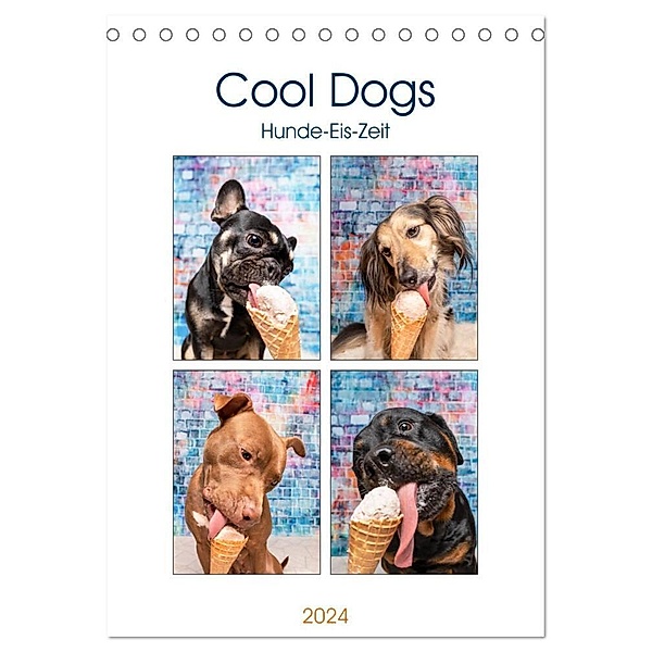 Cool Dogs - Hunde-Eis-Zeit (Tischkalender 2024 DIN A5 hoch), CALVENDO Monatskalender, Sonja Teßen