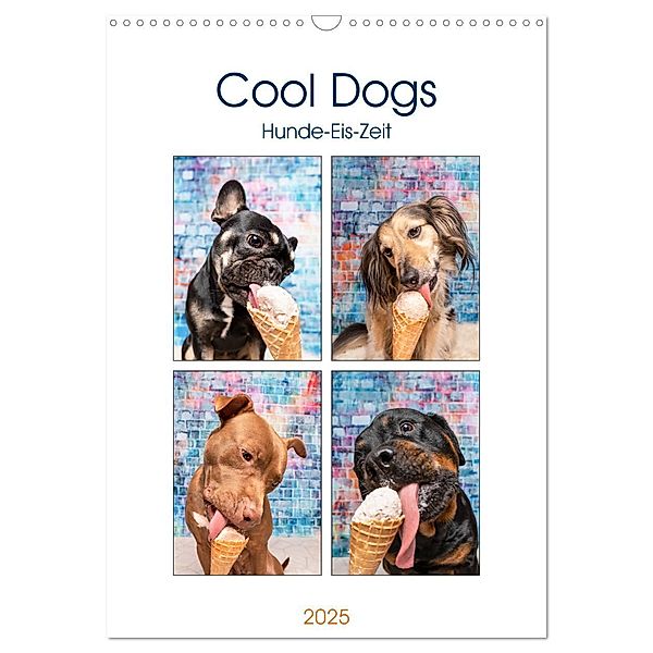 Cool Dogs - Hunde-Eis-Zeit (Wandkalender 2025 DIN A3 hoch), CALVENDO Monatskalender, Calvendo, Sonja Teßen