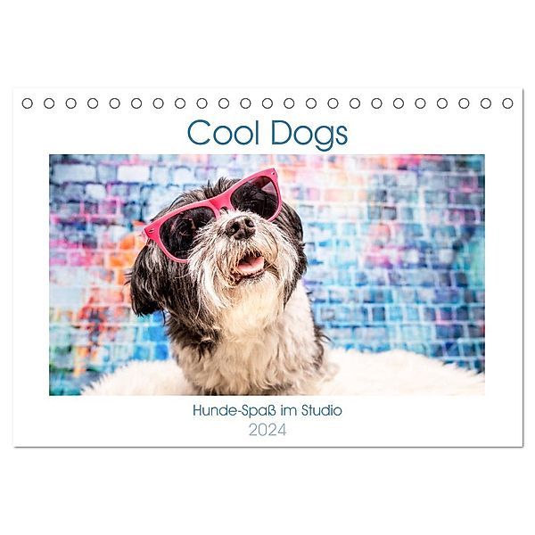 Cool Dogs - Hunde-Spass im Studio (Tischkalender 2024 DIN A5 quer), CALVENDO Monatskalender, Sonja Tessen