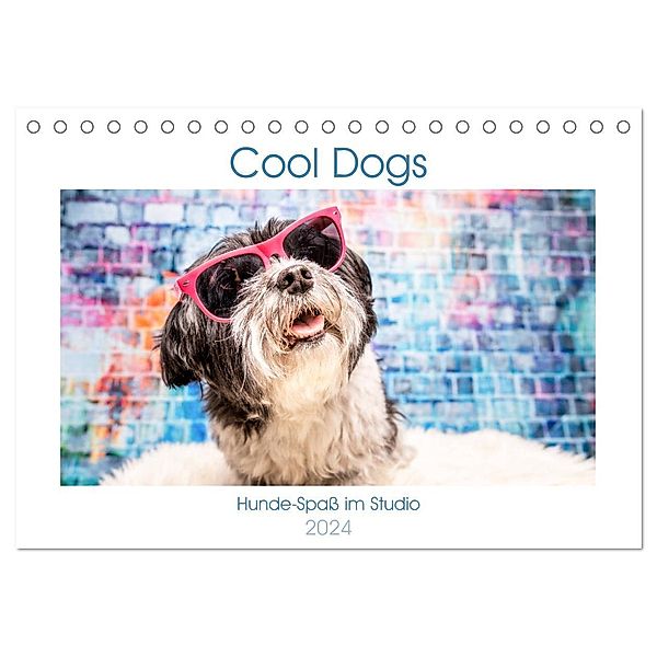 Cool Dogs - Hunde-Spaß im Studio (Tischkalender 2024 DIN A5 quer), CALVENDO Monatskalender, Sonja Teßen