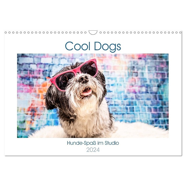 Cool Dogs - Hunde-Spaß im Studio (Wandkalender 2024 DIN A3 quer), CALVENDO Monatskalender, Sonja Teßen