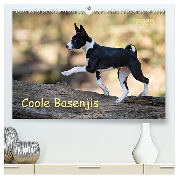 Coole Basenjis (hochwertiger Premium Wandkalender 2025 DIN A2 quer), Kunstdruck in Hochglanz, Calvendo, Angelika Joswig