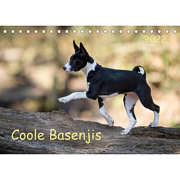 Coole Basenjis (Tischkalender 2022 DIN A5 quer), Angelika Joswig