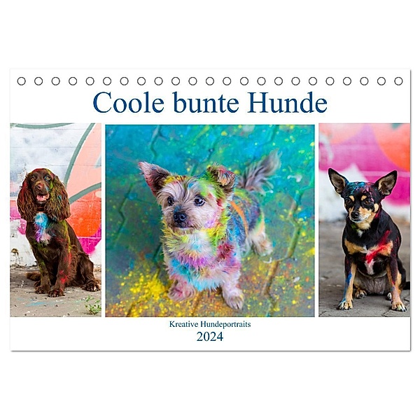 Coole bunte Hunde (Tischkalender 2024 DIN A5 quer), CALVENDO Monatskalender, Fotodesign Verena Scholze