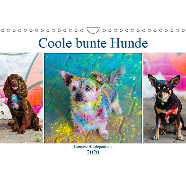 Coole bunte Hunde (Wandkalender 2020 DIN A4 quer), Verena Scholze