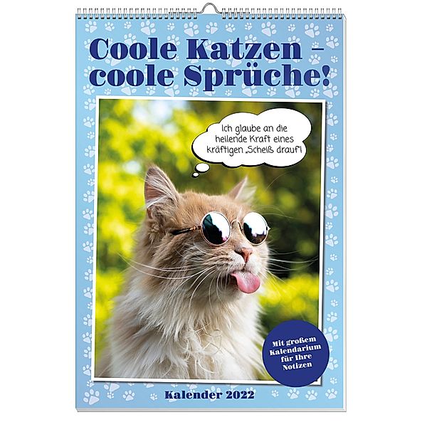 Coole Katzen Posterkalender 2022