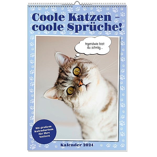 Coole Katzen Posterkalender 2024