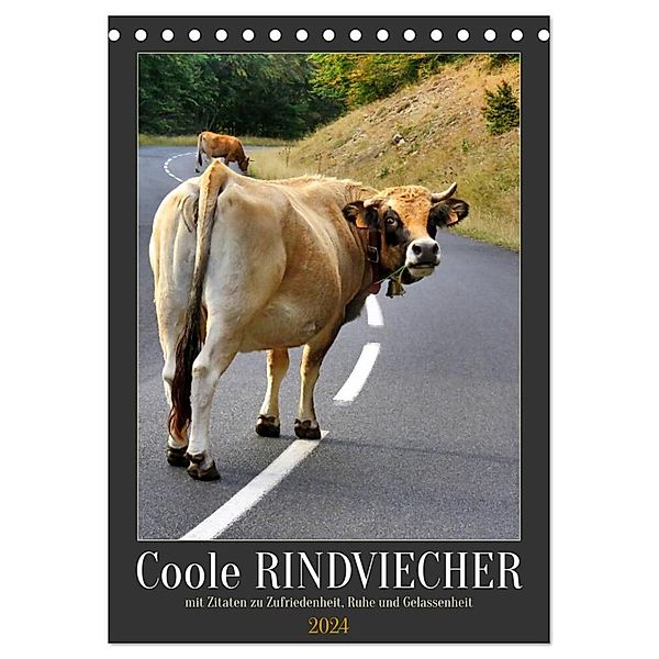 Coole Rindviecher (Tischkalender 2024 DIN A5 hoch), CALVENDO Monatskalender, Sabine Löwer