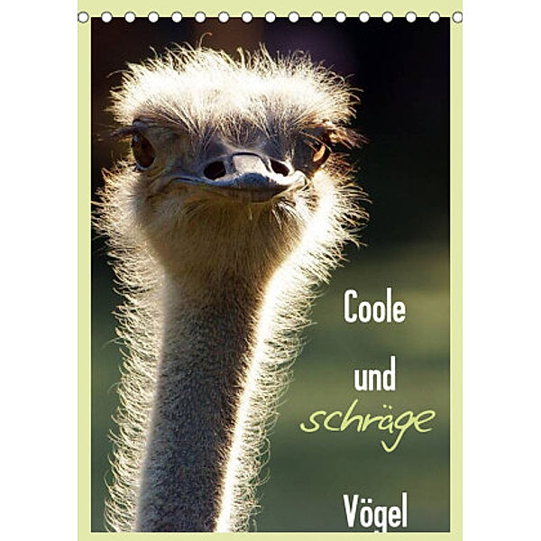 Coole und schräge Vögel (Tischkalender 2022 DIN A5 hoch), Sigrid Enkemeier