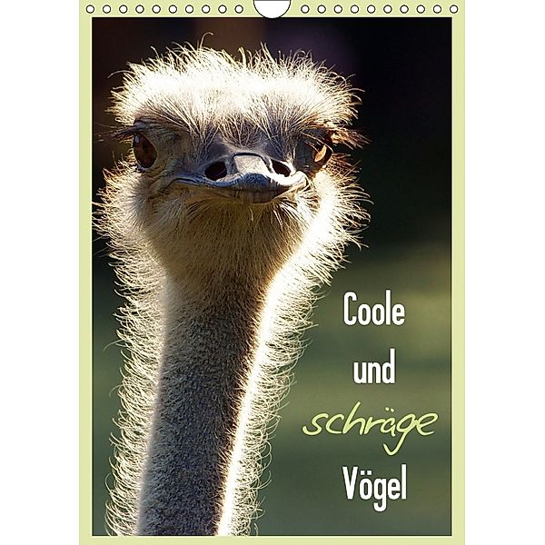 Coole und schräge Vögel (Wandkalender 2018 DIN A4 hoch) Dieser erfolgreiche Kalender wurde dieses Jahr mit gleichen Bild, Sigrid Enkemeier