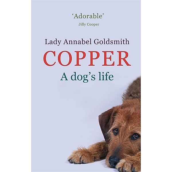 Copper, A Dog's Life, Annabel Goldsmith
