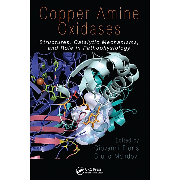 Copper Amine Oxidases