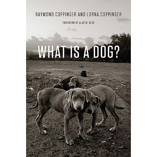 Coppinger, R: What Is a Dog?, Raymond Coppinger, Lorna Coppiner