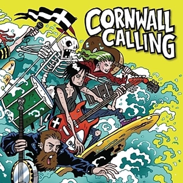 Cornwall Calling, Diverse Interpreten