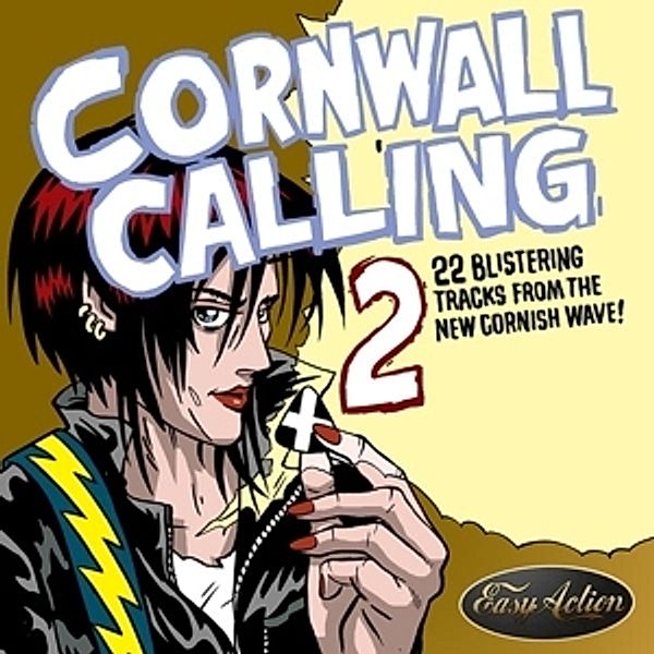 Cornwall Calling Vol.2, Diverse Interpreten