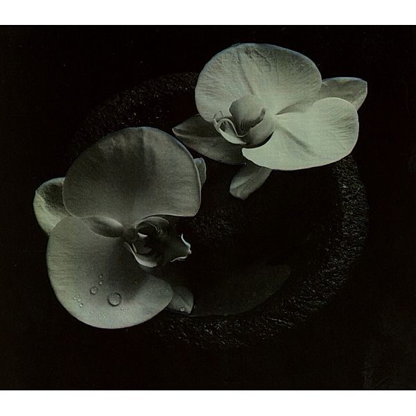 Corpse Flower, Mike Patton, Jean-Claude Vannier