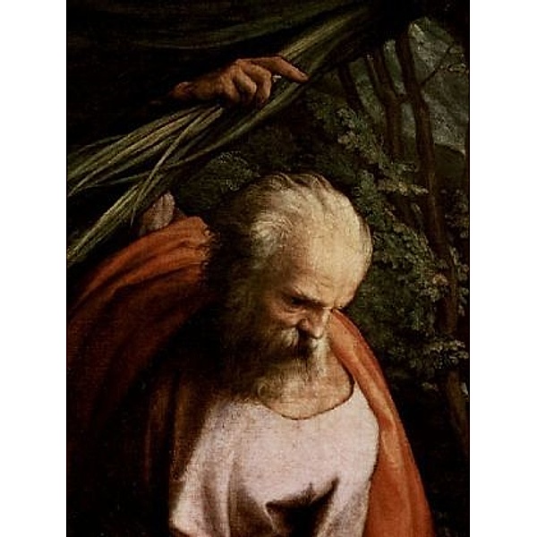Correggio - Ruhe auf der Flucht nach Ägypten, mit Hl. Franziskus, Detail: Hl. Josef - 2.000 Teile (Puzzle)