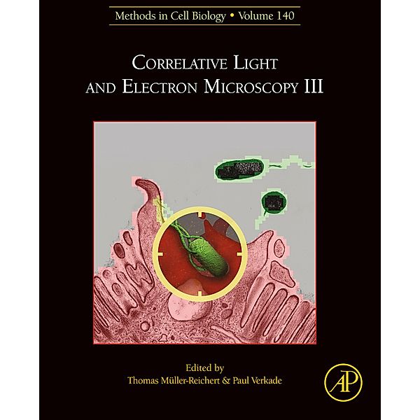 Correlative Light and Electron Microscopy III