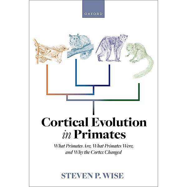 Cortical Evolution in Primates, Steven P. Wise